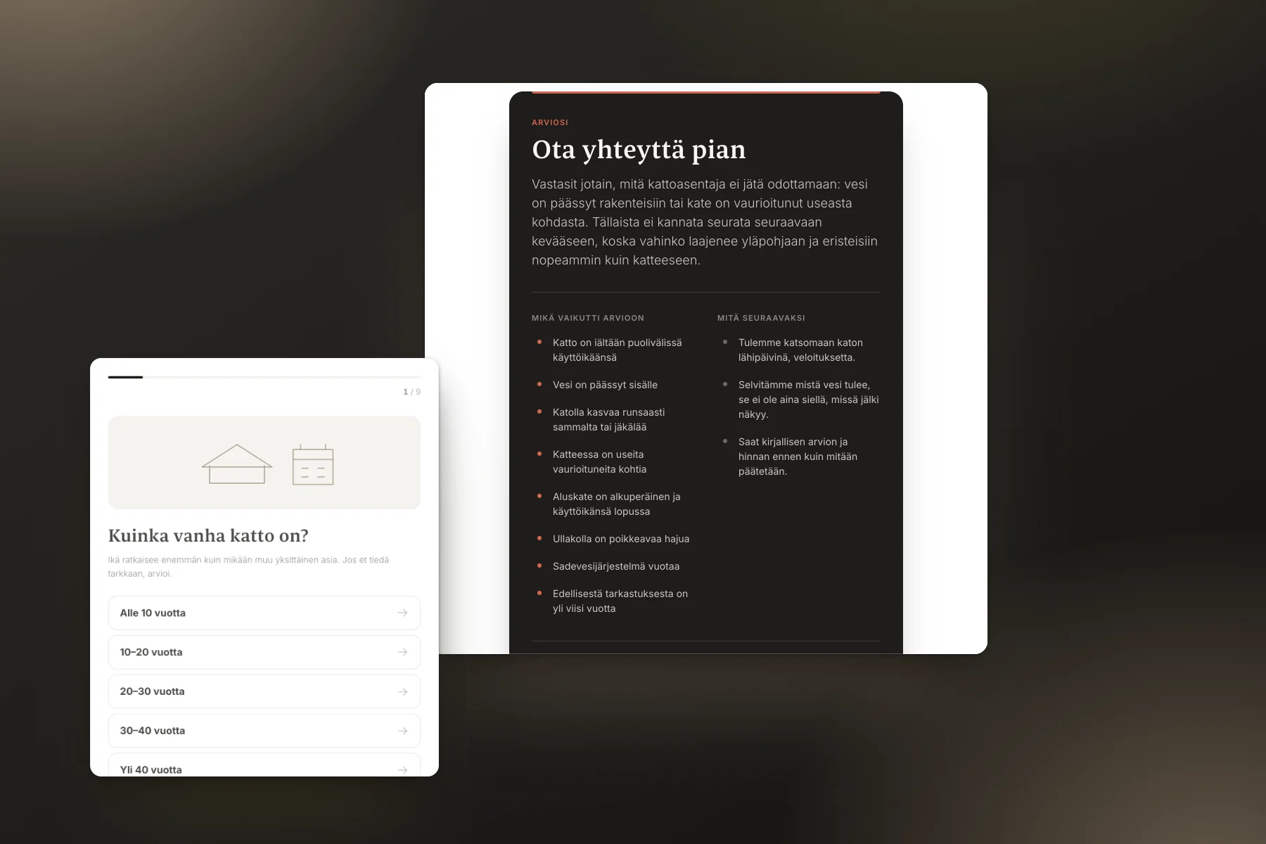 Tarveselvityskysely: valmis arvio perusteluineen ja yksi kyselyn kysymyksistä.